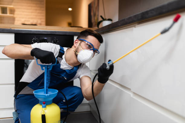 Best Wasp Removal Services  in Hillsbo, OR