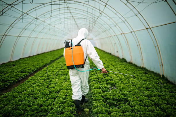 Best Best Pest Control Companies  in Hillsbo, OR