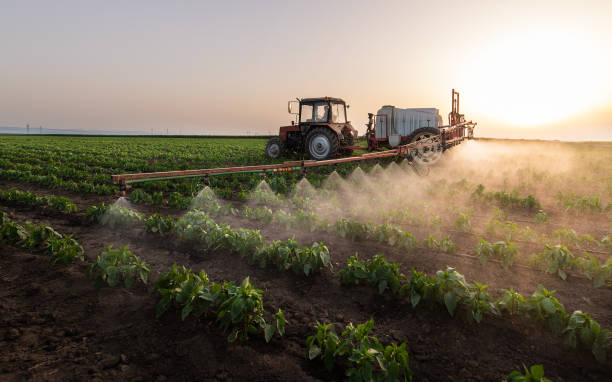 Insect Control in Hillsboro, OR