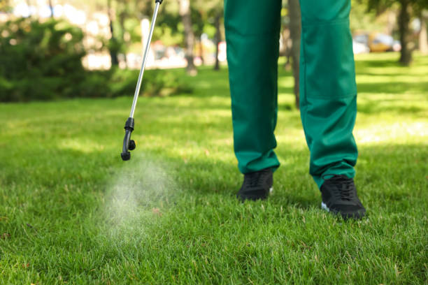 Best Wildlife Control Services  in Hillsbo, OR