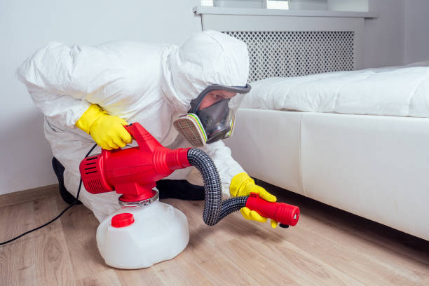 Best Pest Control Near Me in Hillsboro, OR