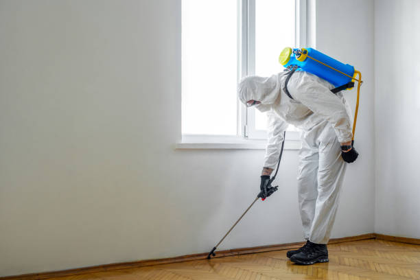 Best Residential Pest Control  in Hillsbo, OR