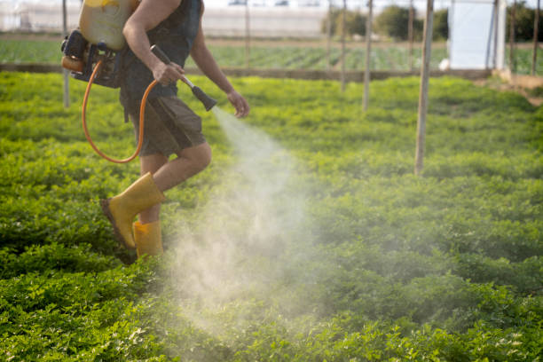 Bird Control in Hillsboro, OR