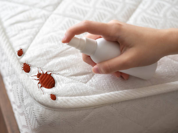 Best Exterminator Services  in Hillsbo, OR
