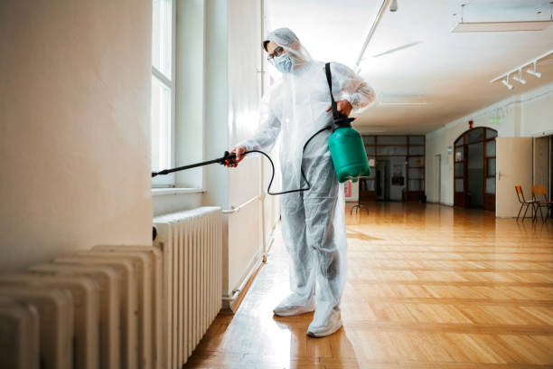 Best Termite Control Services  in Hillsbo, OR